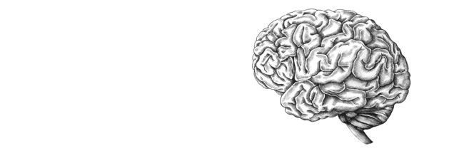 brain2