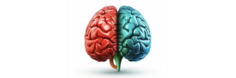 brain abscess | Radiology24