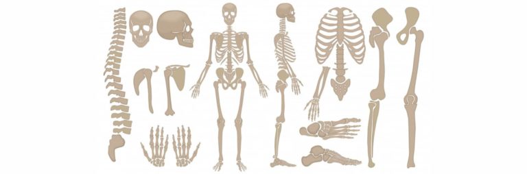 salter harris classification | Radiology24