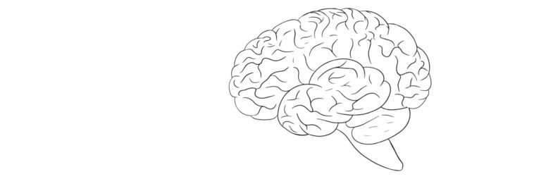normale myelinisierung des gehirns nach 3 monaten | Radiology24