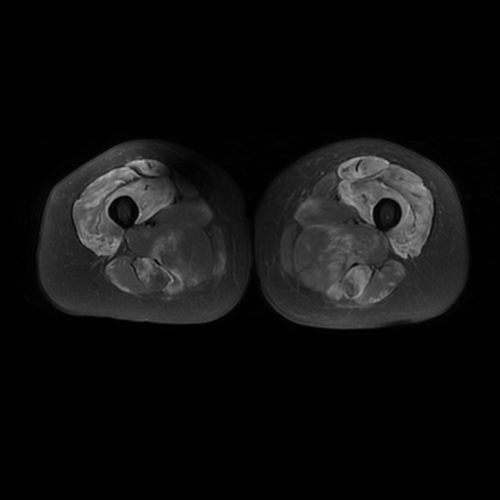 0001 3 | Radiology24