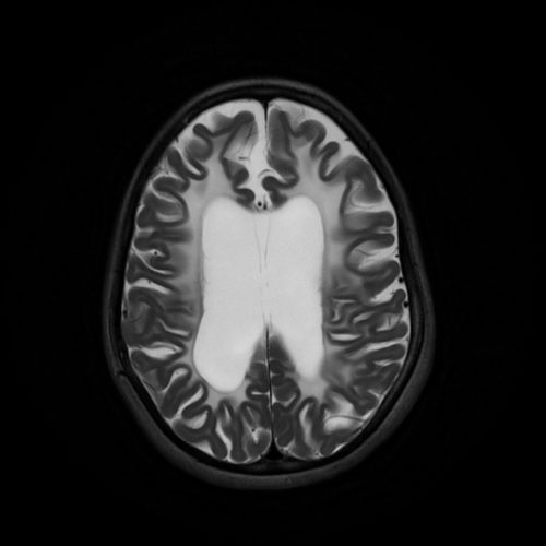 0001 1 | Radiology24