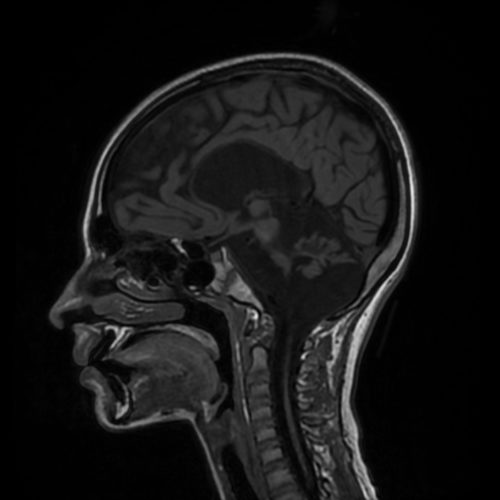 0001 5 | Radiology24
